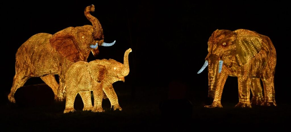 Enchanted-Animals Colchester Zoo