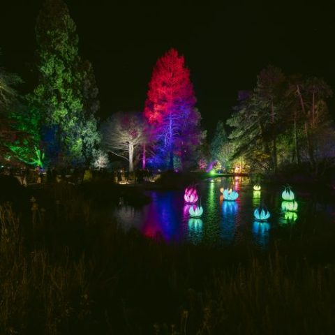 Cambridge Botanic Gardens